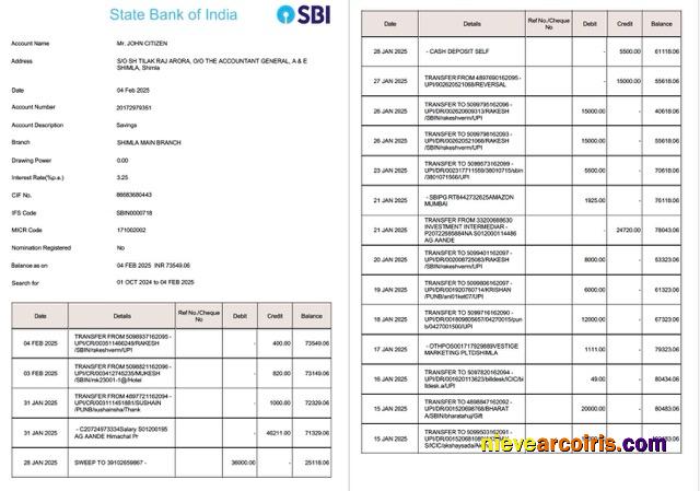 India State Bank of India account statement Word and PDF, 2 pages, version 2